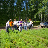 12.08.11 ij c8r_preview.jpg